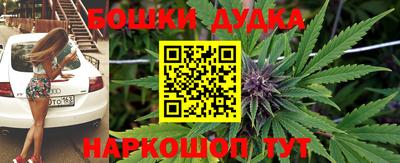 сатива Абакан