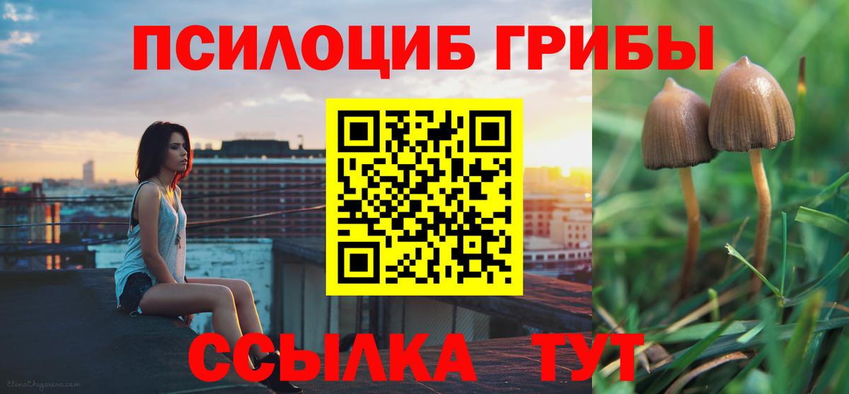Псилоцибиновые грибы мухоморы  Галлюциногенные грибы ЛСД  Абакан  Вход с VPN 